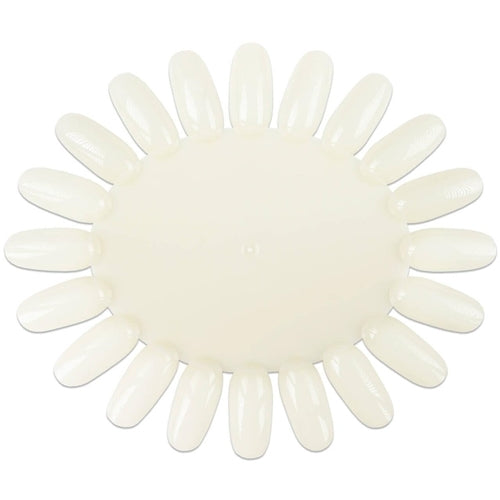 Natural Color Chart False Nail Tips Display Practice Wheel Oval Shape 20 Tips 10pcs